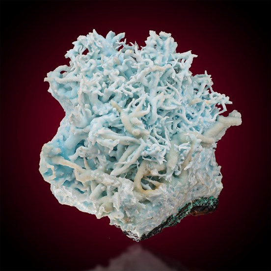 Flos Ferri-Steirischer Erzberg | Eisenerz | Leoben | Styria | Austria